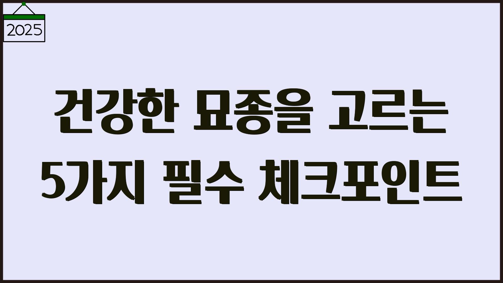 건강한 묘종을 고르는 5가지 필수 체크포인트