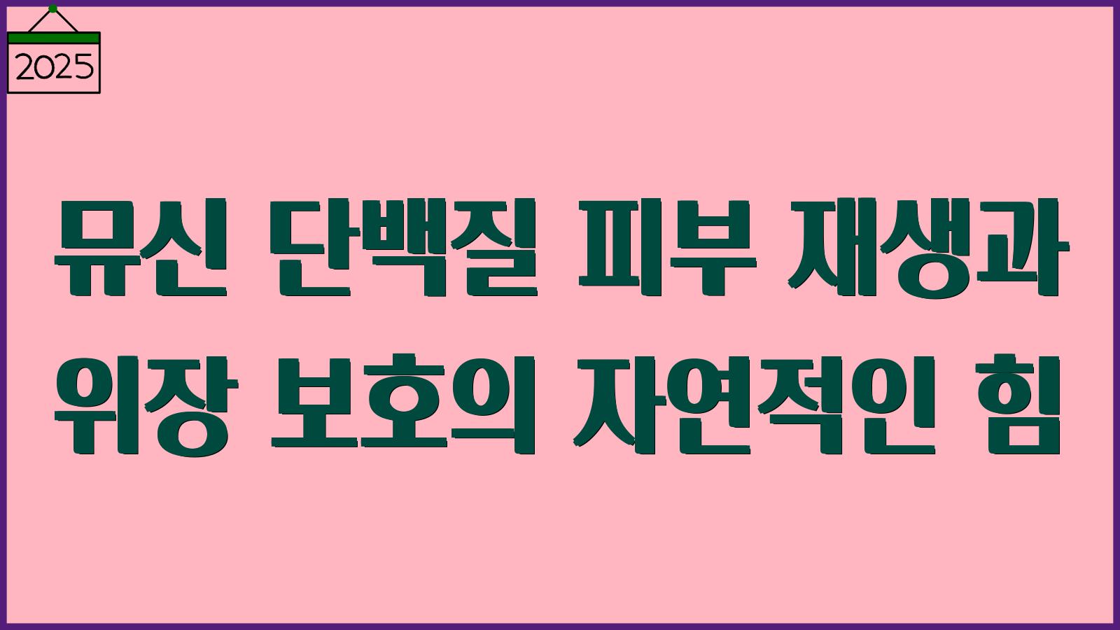 뮤신 단백질 효능