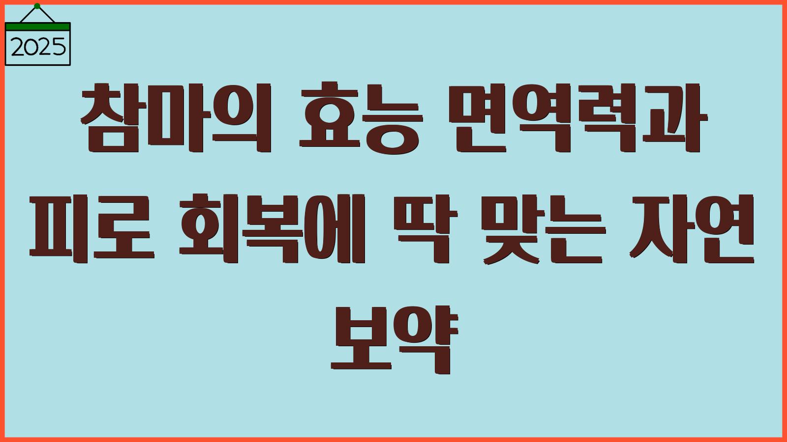 참마의 효능