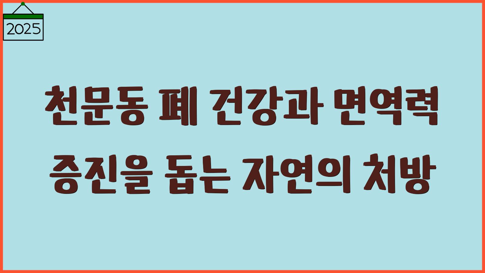 천문동 효능